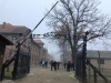 betner_osw003